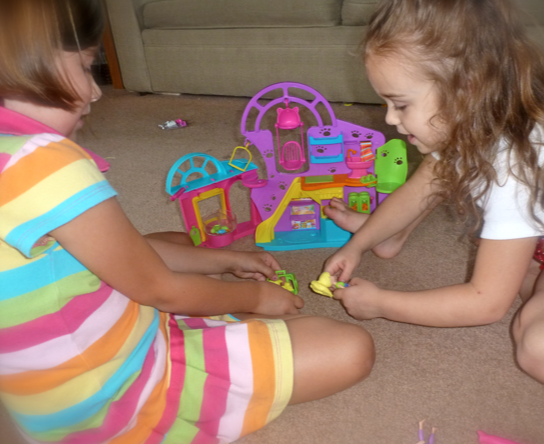 Polly Pocket Playtime Pet Shop Play Set and Polly Pocket DVD